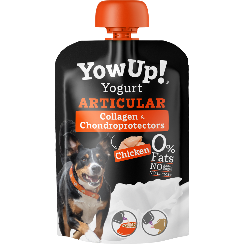 yowup-articular-pollo-perro