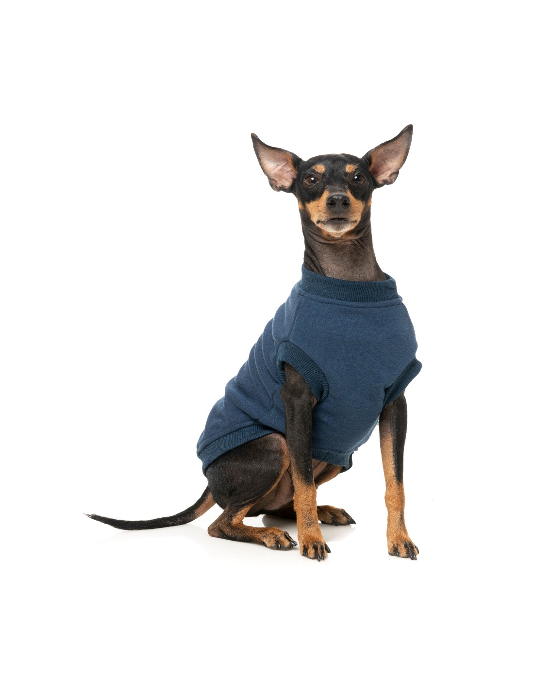 fuzzyard-sweater-allday-navy-1 (2)
