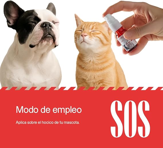 61+R6c2i9ML._AC_SX569_